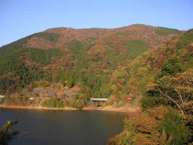 駐車場付近を撮す