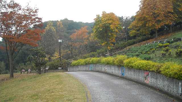 マウンドの頂上