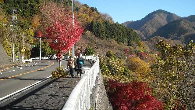 紅葉も終わりに