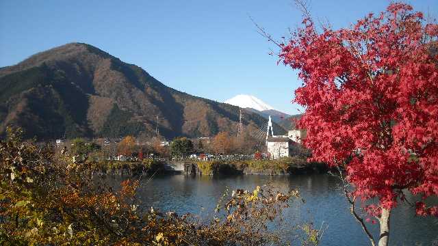 紅葉と三保中学校