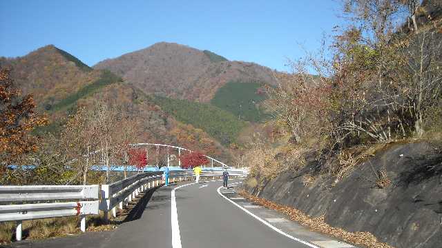 コースから大仏大橋を