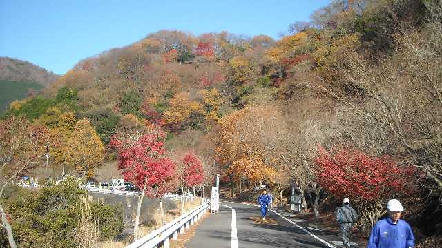 コースから紅葉を