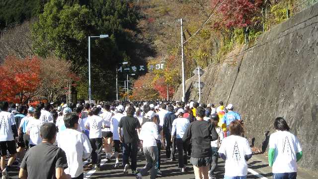 走り出して少し行くとスタート地点