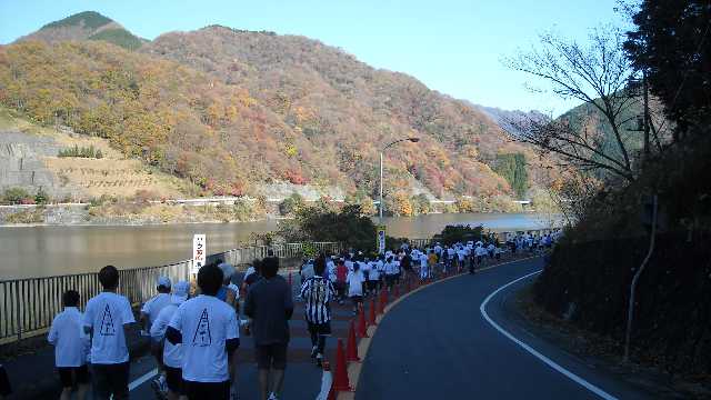 日影だけど寒くない