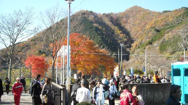 ハーフはまだ走ってます