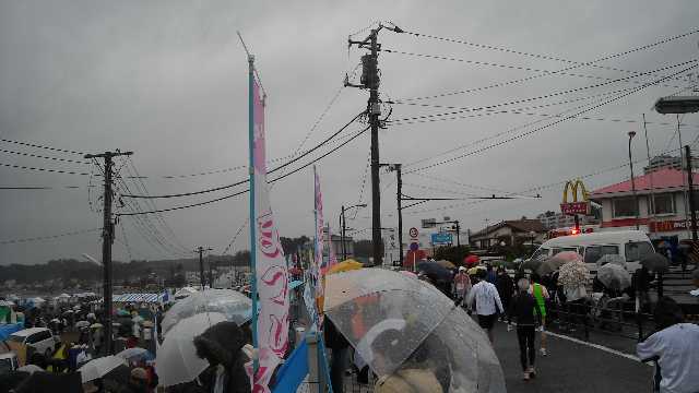 雨でした