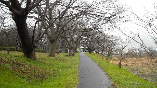 雨の中の開催