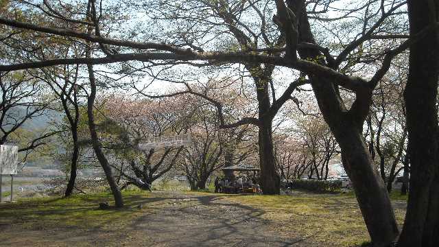 いつものスタート地点