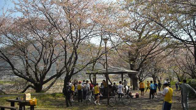 今日もいつもの人たちが