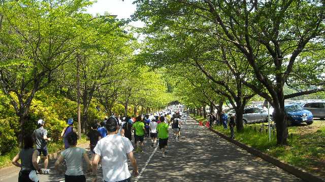 駐車場前の道に