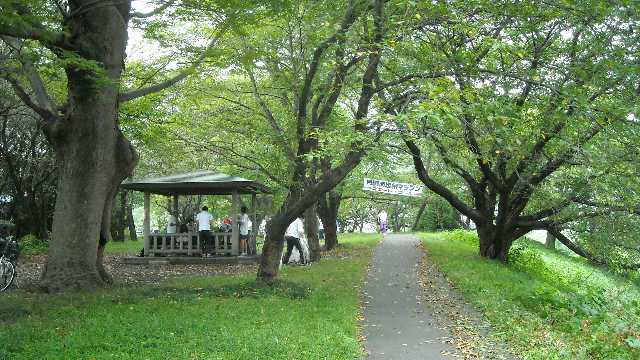 小雨の降る中