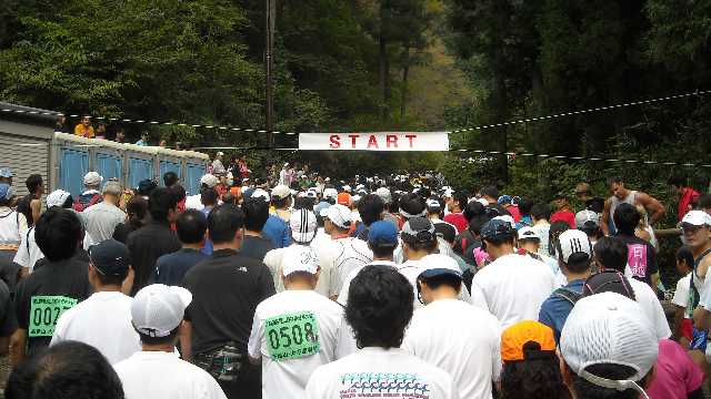 今年は８００人越え