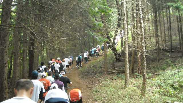 まだまだ登ります