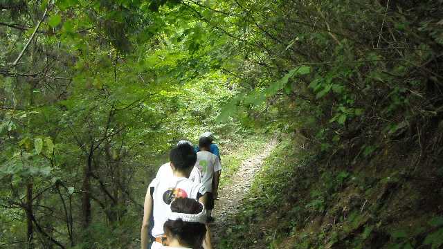 またまた登りです