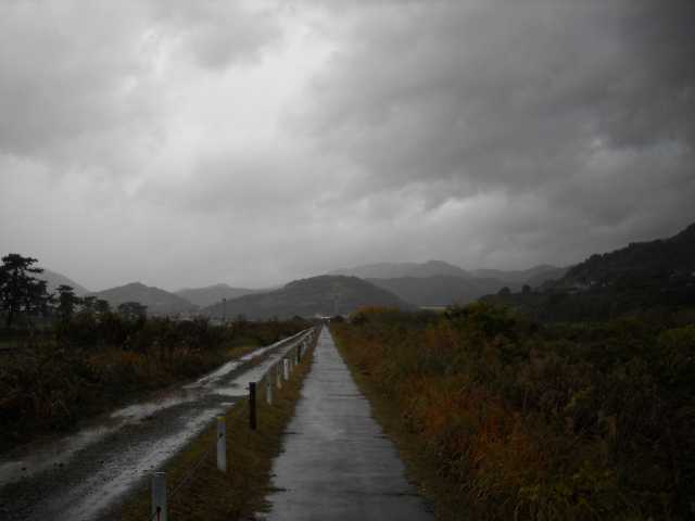 雨なのでだーれもいません