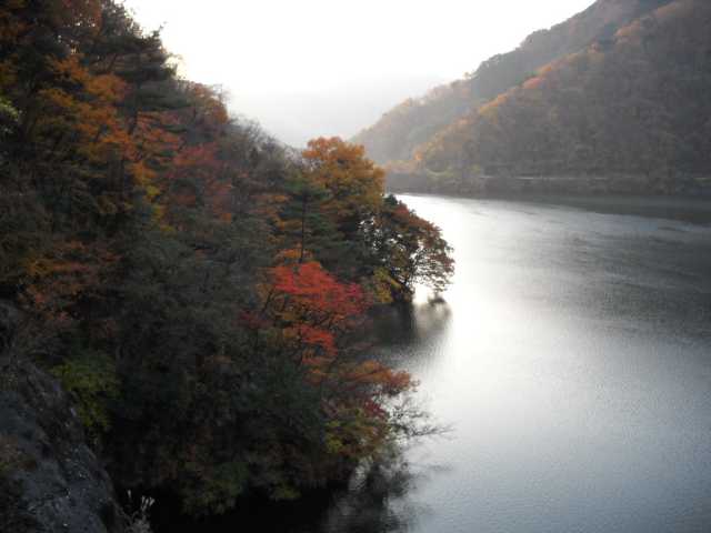 静かな佇まいの丹沢湖