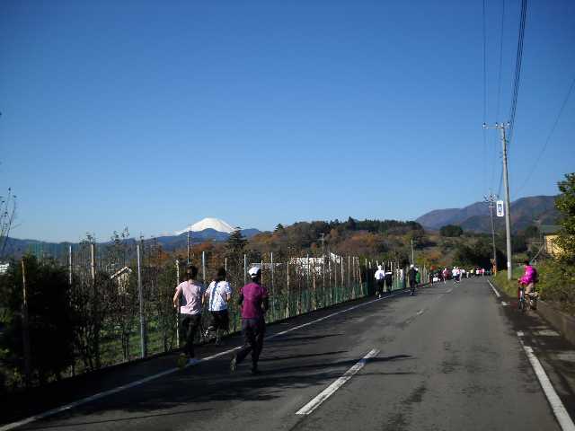 ８キロ過ぎの風景